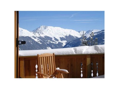 Apartment EDELWEISS - Features photo 19