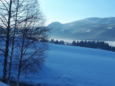 Chalet FreiZeit - Environment photo 33