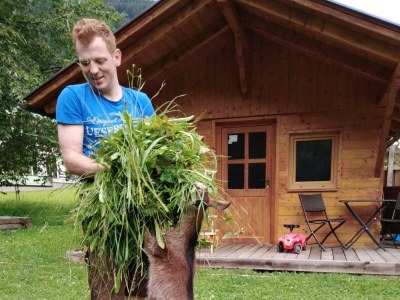 Apartment Appartement/Fewo Almrausch - Outdoor photo 13