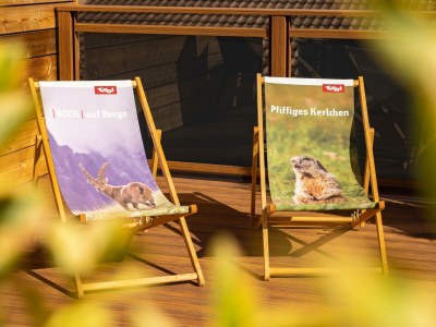Apartment Appartement 4 - Outdoor photo 307