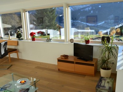 Apartment Appartement/Fewo, Dusche, WC, 1 Schlafraum - Features photo 24