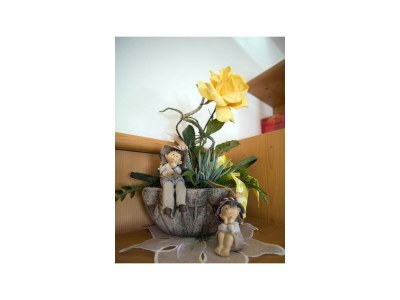Apartment Ferienwohnung Gletscherblick - Features photo 30