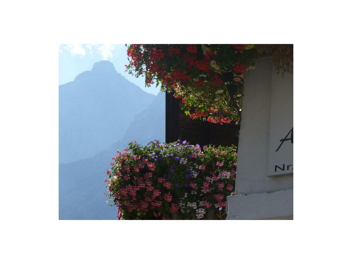 Apartment Appartement Edelweiss - Outdoor photo 5