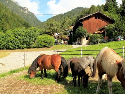 Apartment Appartement Habicht - Outdoor photo 8