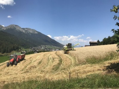 Apartment Appartement Ampferstein - Outdoor photo 11