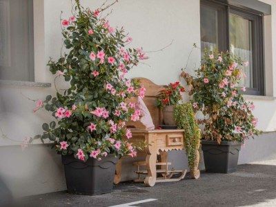 Apartment Appartement Zuckerhütl - Outdoor photo 20
