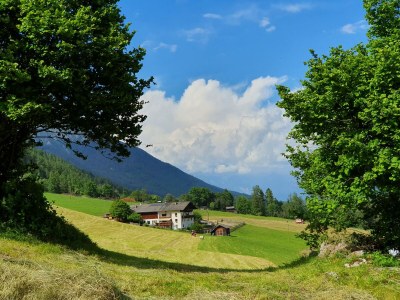 Apartment Ferienwohnung Serles in Neustift im Stubaital - Apartment