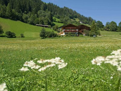 Apartment Appartement B - Blütenzauber - Outdoor photo 17