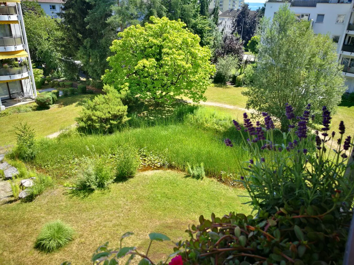 Holiday apartment "Seegarten"