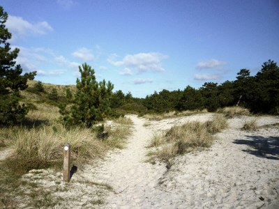 Holiday house Bungalowpark Geestmerambacht - Rekerlanden 213 - Environment photo 21
