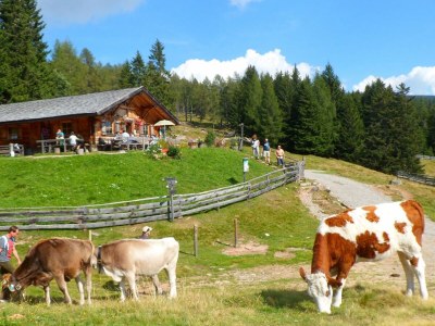 Holiday apartment Meranerblick Panorama Apartment, Hafling - Environment photo 17