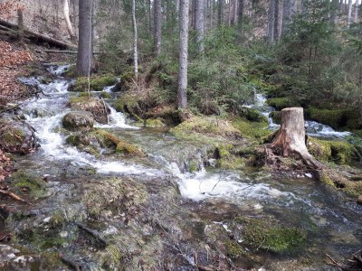 Chalet NaturZeit - Environment photo 35