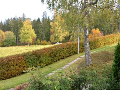 Holiday apartment Lupine - Features photo 13