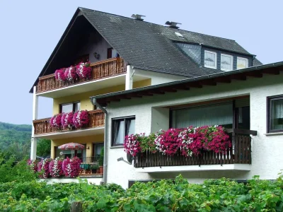 Holiday apartment Goldgrube - House Moselblick Gerd-Eugen Schmidt in Traben-Trarbach/Wolf - Holiday apartment