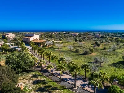 Holiday house Finca Mar d'es Teix - Outdoor photo 11