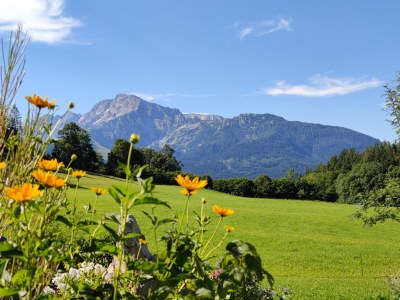 Holiday apartment Lärcheck-Berchtesgaden - Outdoor photo 10