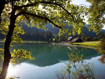 Apartment Wooden log cabin Hiller Kleinarl Apt.2-6 pers. - Environment photo 27