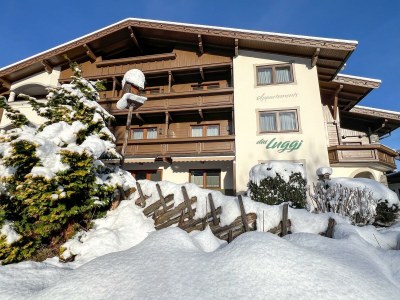 Apartment Dachterrassenwohnung Galtenberg in Reith im Alpbachtal - Apartment
