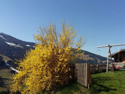 Apartment Ferienwohnung Anna - Outdoor photo 12