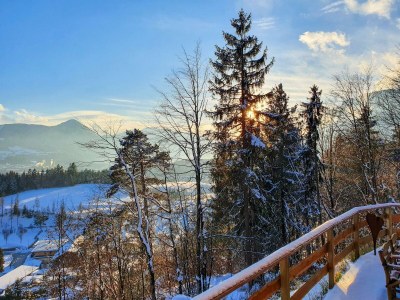 Apartment Das Haus Steger zu Stein - Outdoor photo 25