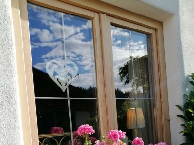 Apartment Ferienwohnung mit Sauna - Outdoor photo 28