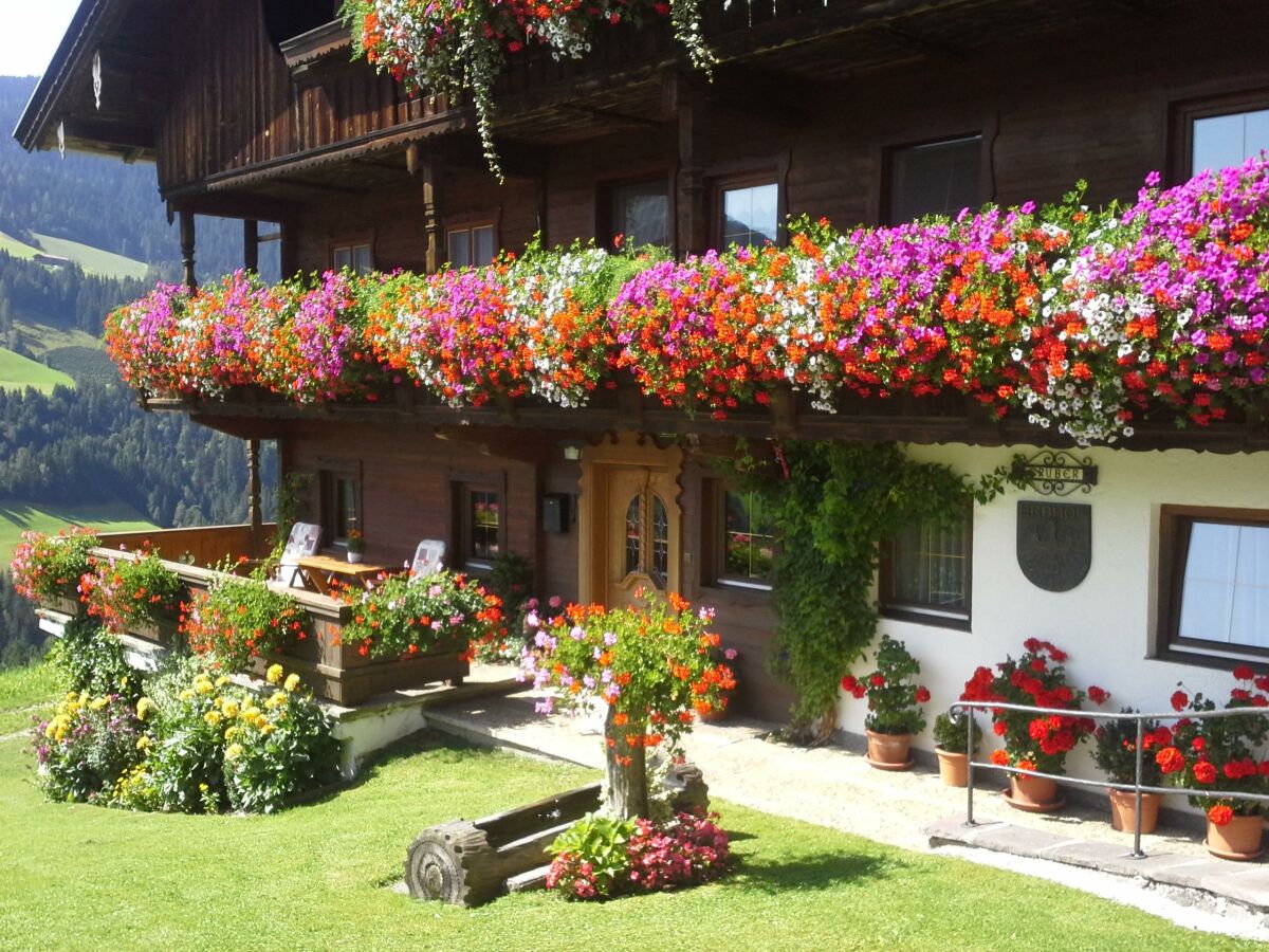 Apartment Ferienwohnung Gruberhof - Outdoor photo 2