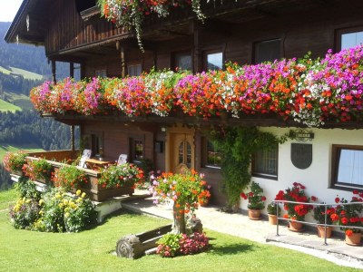Apartment Ferienwohnung Gruberhof - Outdoor photo 2