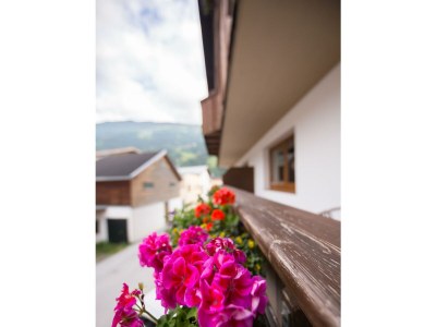 Apartment Appartement Rosalie - Features photo 21