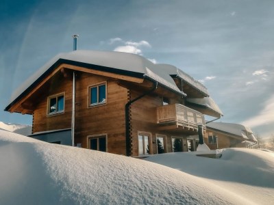 Chalet Chalet Bergwinter (Heidi Chalets Falkertsee) - Outdoor photo 4