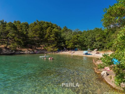 Holiday apartment FELINE with pool 400m from the beach - Environment photo 35