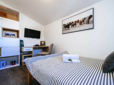 Villa Enna with heated pool, Zadar - Features photo 85