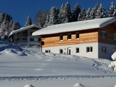 Apartment Appartement Alpenliebe - 2 Schlafräume / DU/WC in Hirschegg - Apartment