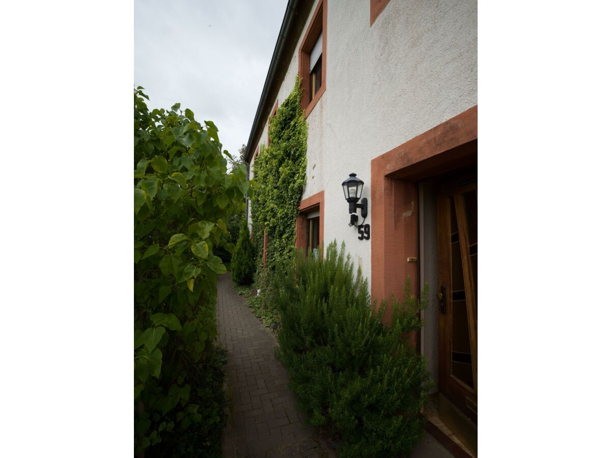 Apartment Ferienwohnung Südseite - Outdoor photo 5