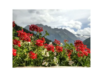 Apartment Appartement - Typ B - Outdoor photo 25