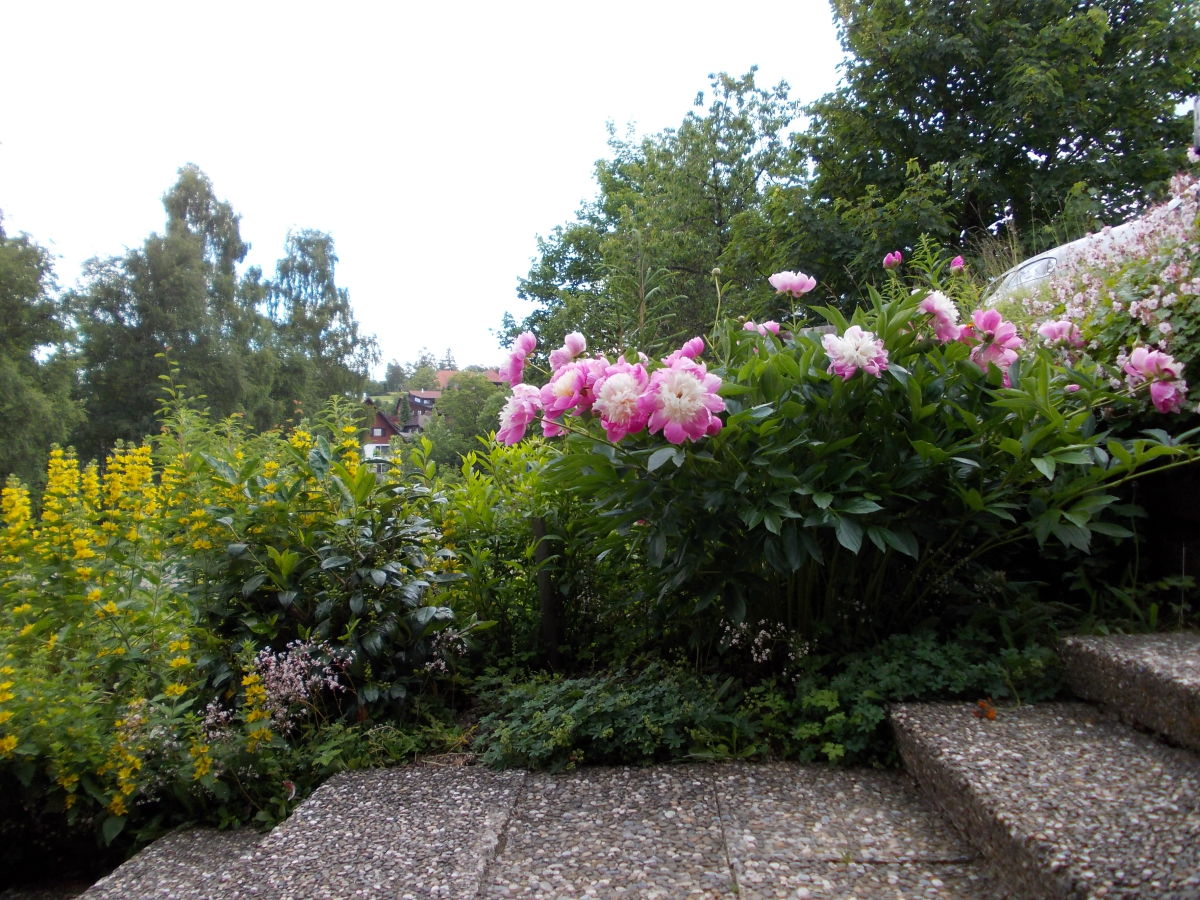 Holiday house Sauter - Outdoor photo 4