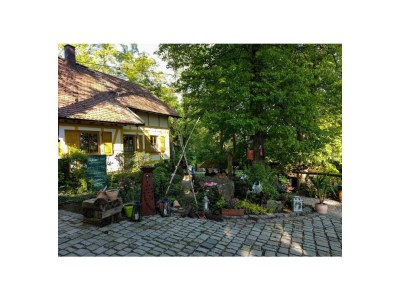 Holiday apartment Geisfeld Hof 63 - Environment photo 19