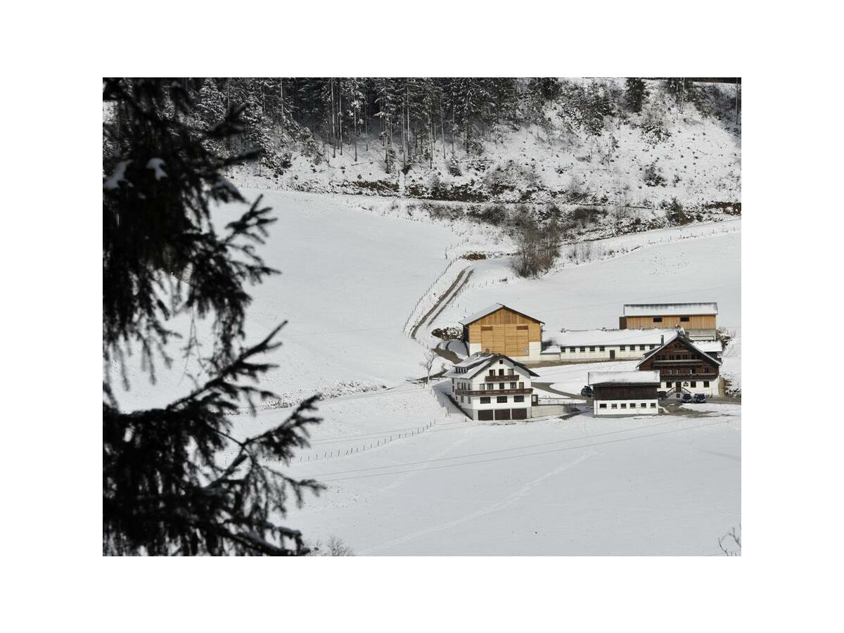 Apartment Apartment Dachstein/1 Schlafraum/2-4 PAX - Outdoor photo 5
