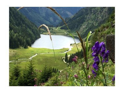 Apartment Apartment Dachstein/1 Schlafraum/2-4 PAX - Outdoor photo 10