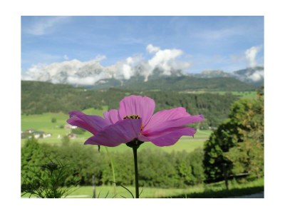 Apartment Appartment Eselstein - Outdoor photo 8