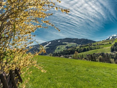 Holiday room Einzelzimmer mit Dusche, WC - Outdoor photo 8