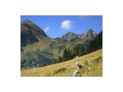 Apartment Appartement "Tauern" - 1 Schlafraum, Dusche, WC - Outdoor photo 11
