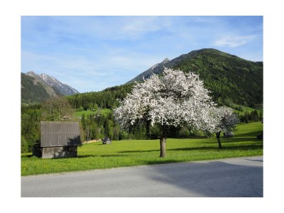 Apartment Appartement Hochwurzen - Outdoor photo 10