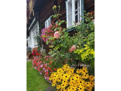 Holiday room Vierbettzimmer, Dusche, WC - Outdoor photo 18
