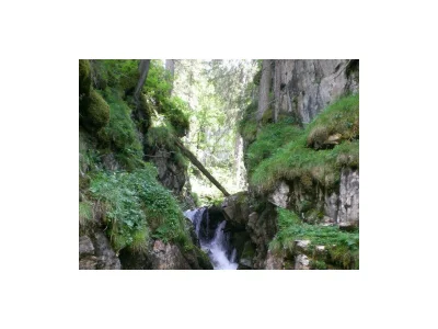 Apartment Apartment A/Wohn-Schlafraum/Dusche, WC in Schladming-Obertal - Apartment