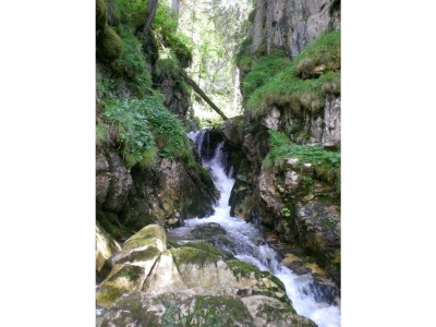 Apartment Apartment A/Wohn-Schlafraum/Dusche, WC - Outdoor photo 25