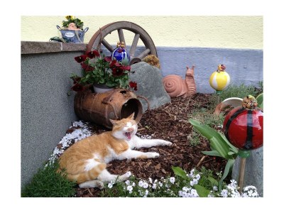 Apartment Ferienhaus "Schober" - Outdoor photo 15