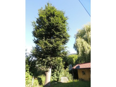 Apartment Planaiperle 1 - Outdoor photo 9