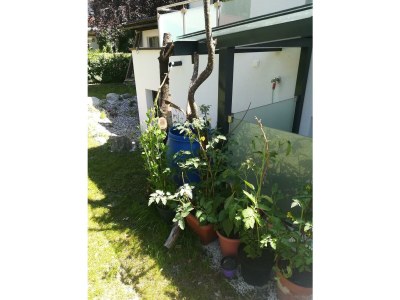 Apartment Planaiperle 1 - Outdoor photo 12