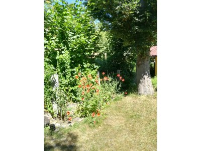 Apartment Planaiperle 2 - Outdoor photo 16