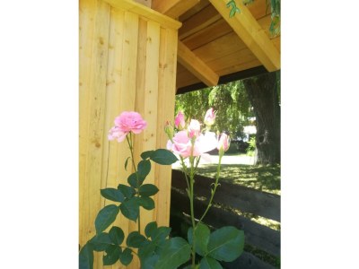 Apartment Planaiperle 2 - Outdoor photo 17